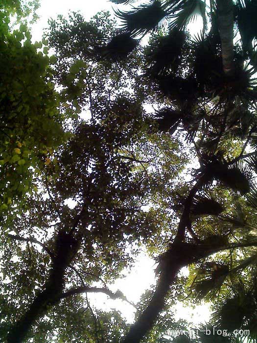 仰望天空