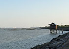 再游广州番禺海鸥岛