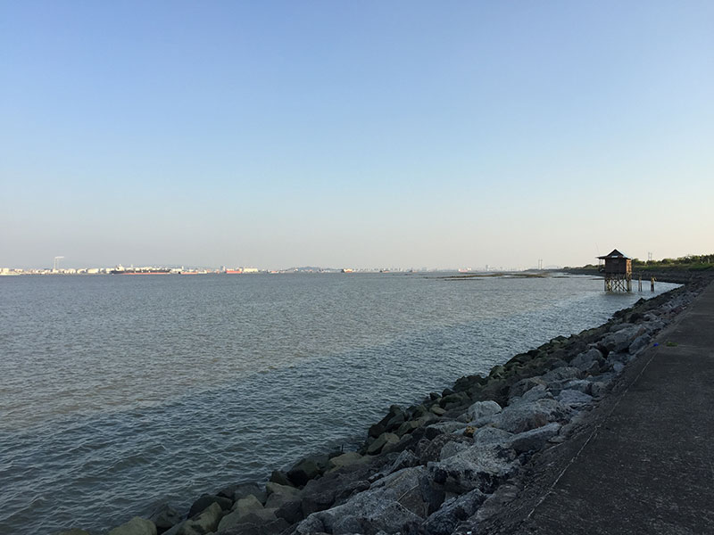 广州番禺海鸥岛