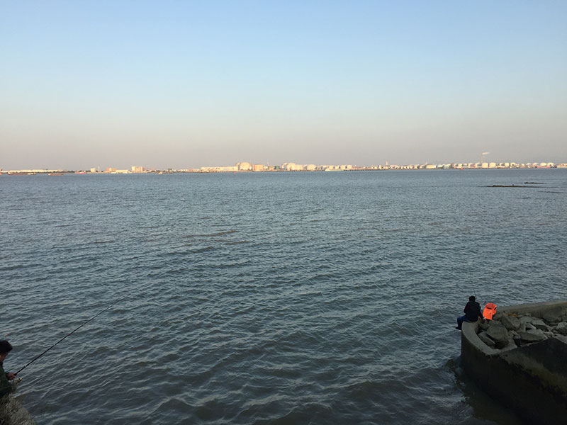 广州番禺海鸥岛