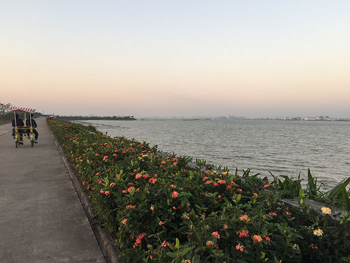 广州番禺海鸥岛
